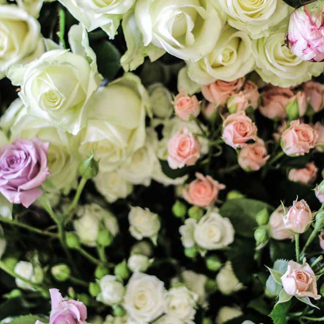 flowers flowers